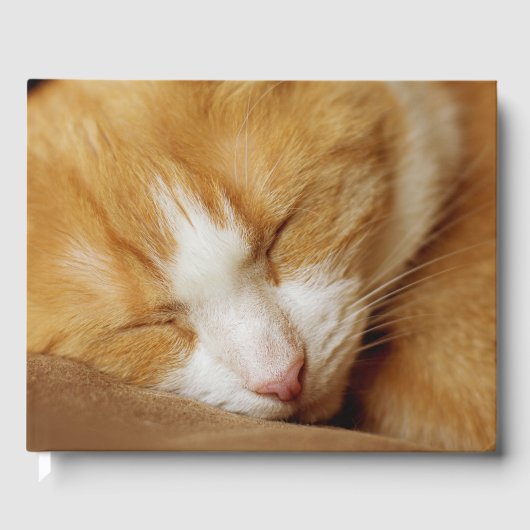 Sleeping Kitten Gastenboek (Voorkant)