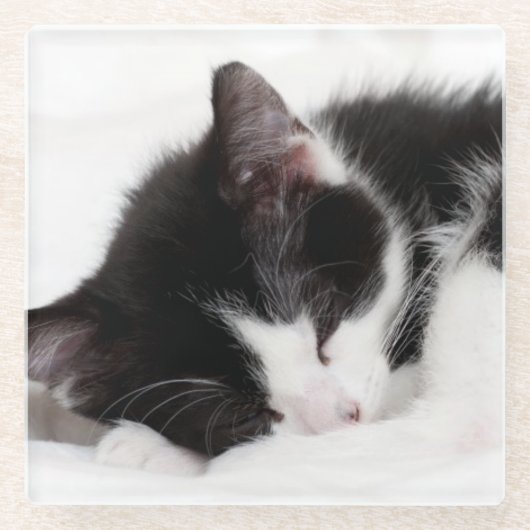 Sleeping Kitten Glazen Onderzetter (Voorkant)