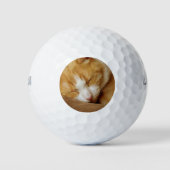 Sleeping Kitten Golfballen (Voorkant)