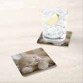 Sleeping Kitten Kartonnen Onderzetters (Insitu)