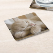 Sleeping Kitten Kartonnen Onderzetters (Schuin)