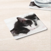 Sleeping Kitten Kartonnen Onderzetters (Schuin)