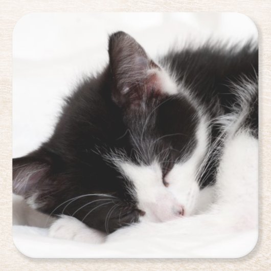 Sleeping Kitten Kartonnen Onderzetters (Voorkant)