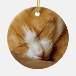 Sleeping Kitten Keramisch Ornament