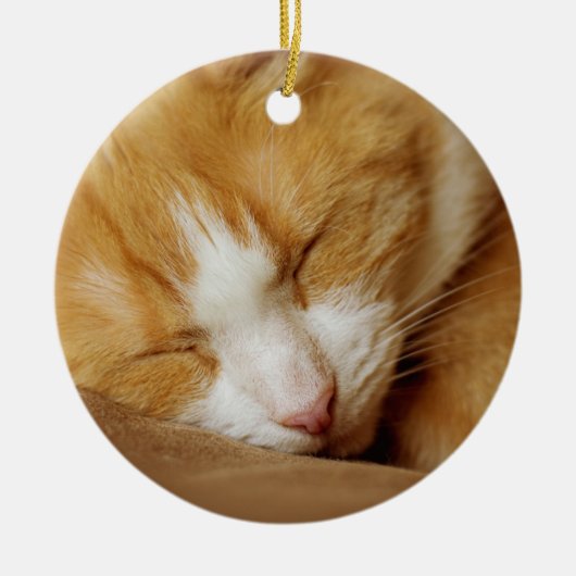 Sleeping Kitten Keramisch Ornament (Voorkant)