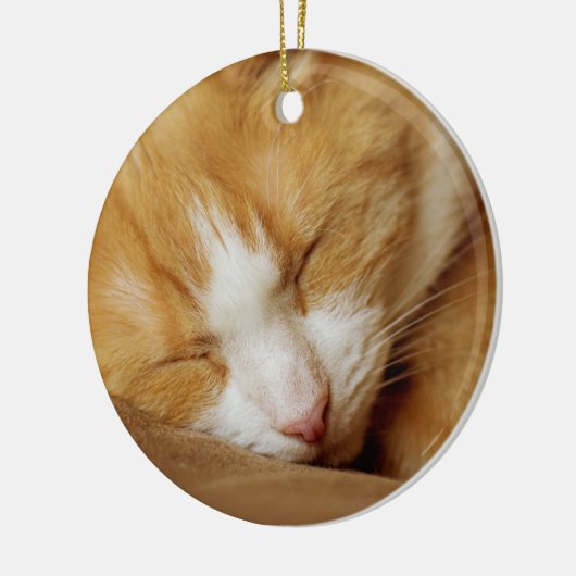 Sleeping Kitten Keramisch Ornament (Links)
