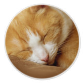 Sleeping Kitten Keramische Knop (Voorkant)