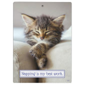 Sleeping Kitten Klembord (Achterkant)