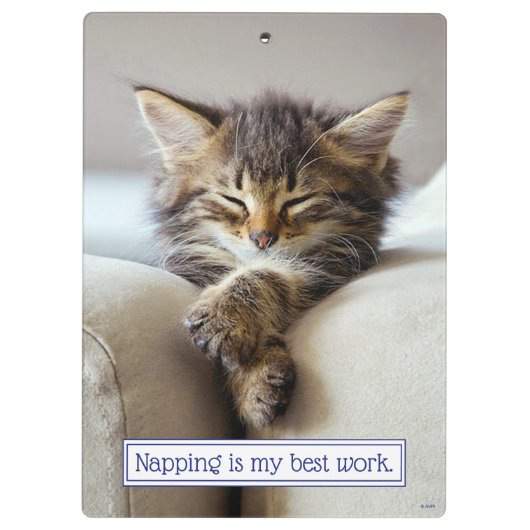 Sleeping Kitten Klembord (Achterkant)