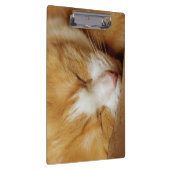 Sleeping Kitten Klembord (Rechts)