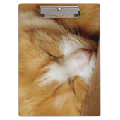 Sleeping Kitten Klembord (Voorkant)