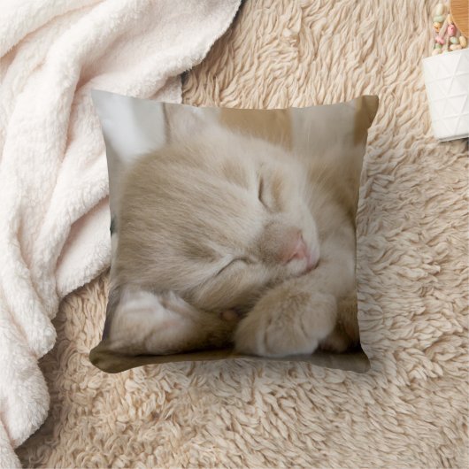 Sleeping Kitten Kussen (Deken)