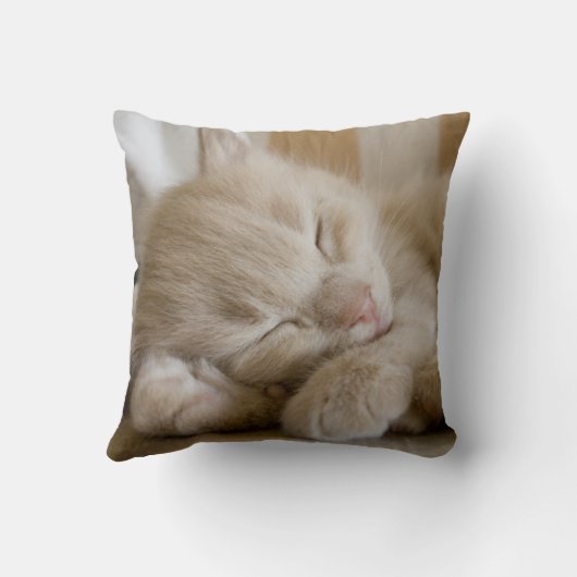 Sleeping Kitten Kussen (Achterkant)