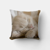 Sleeping Kitten Kussen (Voorkant)