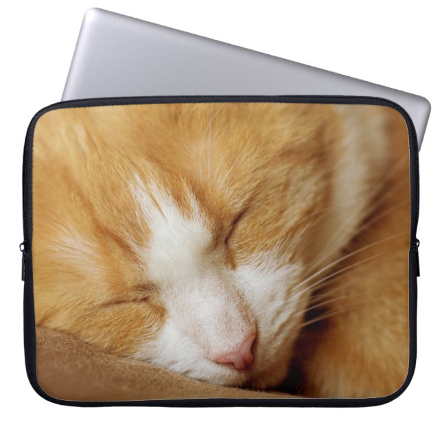 Sleeping Kitten Laptop Sleeve (Voorkant)