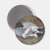 Sleeping Kitten Magneet (Voorkant / Achterkant)