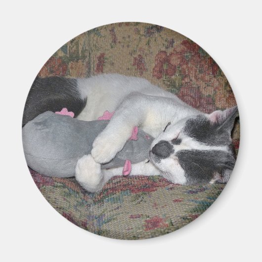 Sleeping Kitten Magneet (Voorkant)