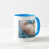 Sleeping Kitten Mok (Voorkant rechts)