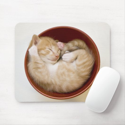 Sleeping Kitten Muismat (Met muis)