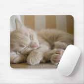 Sleeping Kitten Muismat (Met muis)