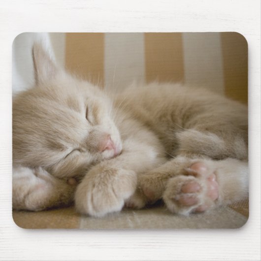 Sleeping Kitten Muismat (Voorkant)