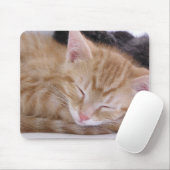 Sleeping Kitten Muismat (Met muis)