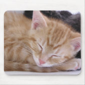 Sleeping Kitten Muismat (Voorkant)