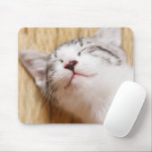 Sleeping Kitten Muismat (Met muis)