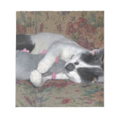 Sleeping Kitten Notitieblok (Voorkant)