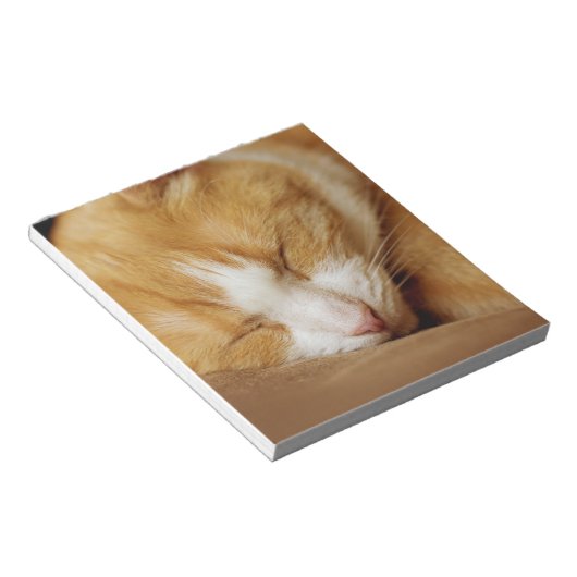 Sleeping Kitten Notitieblok (Schuin)