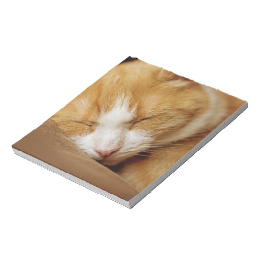 Sleeping Kitten Notitieblok (Linkerzijde)