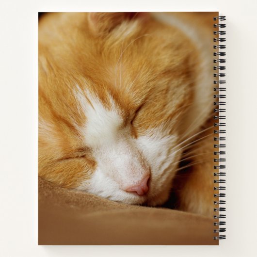 Sleeping Kitten Notitieboek (Achterkant)