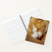 Sleeping Kitten Notitieboek (Binnen)