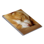 Sleeping Kitten Notitieboek (Rechterzijde)