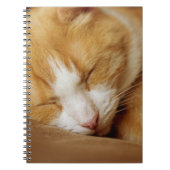 Sleeping Kitten Notitieboek (Voorkant)