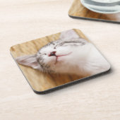 Sleeping Kitten Onderzetter (Linkerzijde)