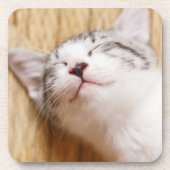 Sleeping Kitten Onderzetter (Voorkant)