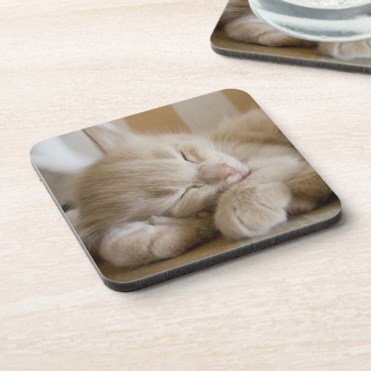 Sleeping Kitten Onderzetter (Linkerzijde)