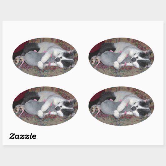 Sleeping Kitten Ovale Sticker (Vel)