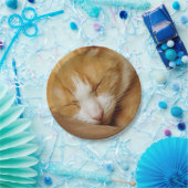Sleeping Kitten Papieren Bordje (Feest)