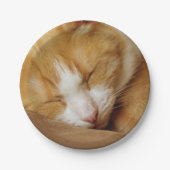 Sleeping Kitten Papieren Bordje (Voorkant)