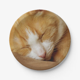 Sleeping Kitten Papieren Bordje