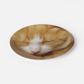 Sleeping Kitten Papieren Bordje (Gekanteld)