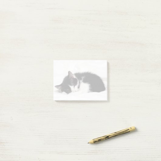 Sleeping Kitten Post-it® Notes (Op bureau)
