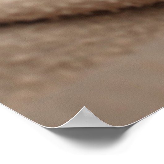 Sleeping Kitten Poster (Hoek)