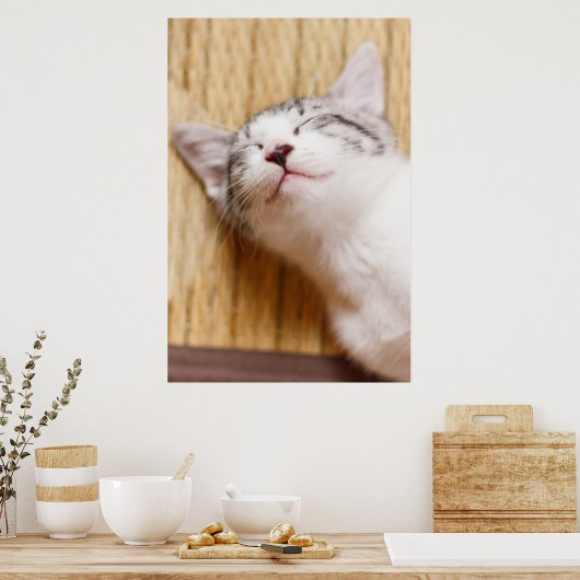 Sleeping Kitten Poster (Keuken)