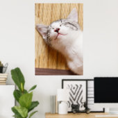 Sleeping Kitten Poster (Thuiskantoor)