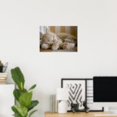Sleeping Kitten Poster (Thuiskantoor)