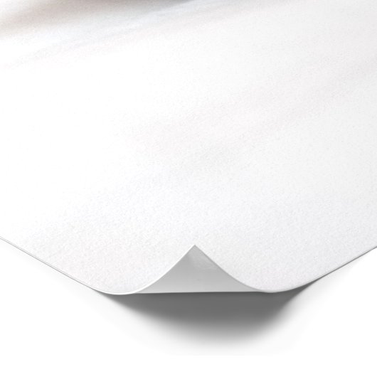 Sleeping Kitten Poster (Hoek)