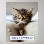 Sleeping Kitten Poster (Voorkant)